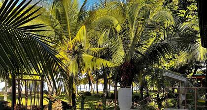 NEW DIRECT BEACHFRONT VILLA, 2 BR, 2bath-stunning sunsets- discounts, book now