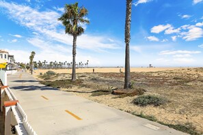 Property grounds - Stunning Beachfront Home in Prime Newport Location (Newport Beach)