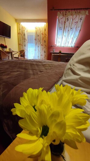 Habitación básica doble | Caja fuerte, escritorio, espacio para trabajar con un portátil
