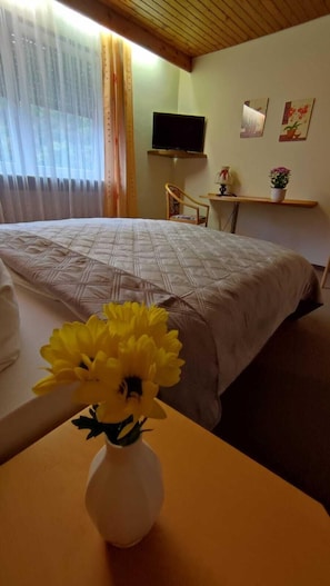 Basic Double Room | In-room safe, desk, laptop workspace, iron/ironing board - Hotel Freihof (Oberharmersbach)