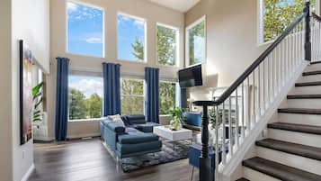 TV, fireplace, ping pong