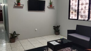 Un salon équipé d’un téléviseur à écran plat, de deux plantes en pot, d’un canapé et d’une table basse.
