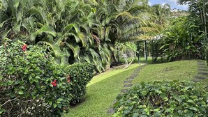 Un jardin luxuriant, parsemé de plantes tropicales variées, avec un sentier de pierres et un ciel d’un bleu éclatant.