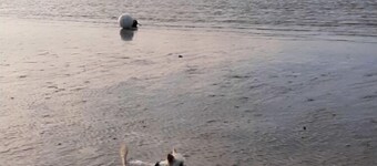 Ferienhaus Linda im Cuxland an der Nordsee, Großzügig Modern und Strandnah