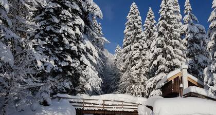 Neu renovierte Ferienwohnung in zentraler ruhiger Lage
