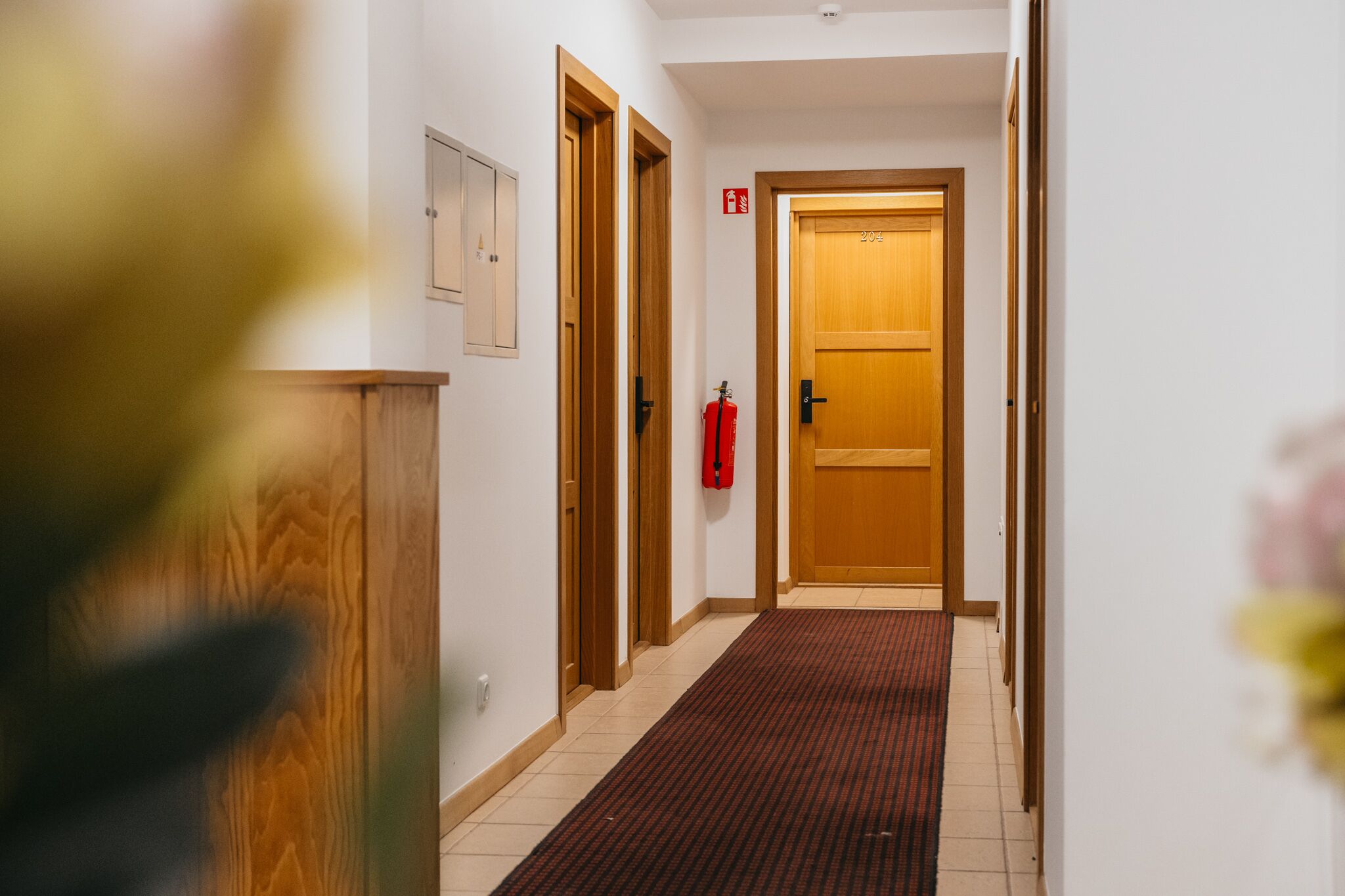 En hall med trädörrar, en brandsläckare och en röd matta.