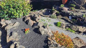 A rocky landscape with a cave entrance, pathways, and greenery.