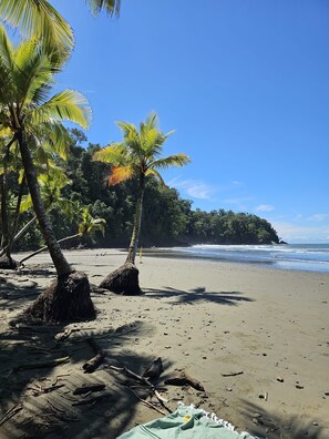 Beach nearby, sun loungers, beach towels