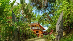 A tropical house with a balcony, surrounded by lush greenery and a paved pathway leading to the entrance. - Experience the Pure Life in the Private Jungle Paradise of Ojochal  (Provincia de Puntarenas)