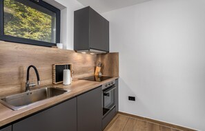 Fridge, oven, stovetop, dishwasher