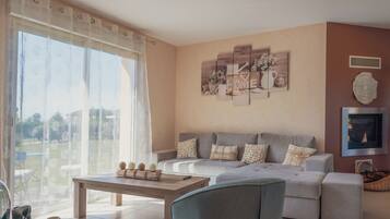 TV, fireplace, books, music library