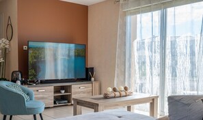 Televisor, llar de foc, llibres i biblioteca musical