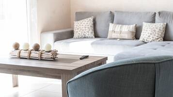 Televisio, takka, kirjoja, musiikkikirjasto