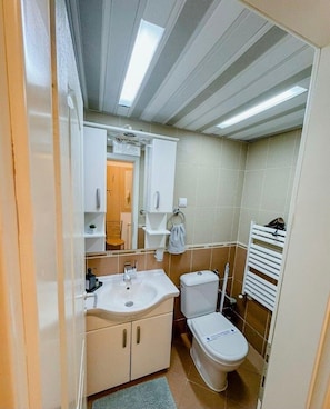 Hair dryer, towels, soap, shampoo - Cozy apartment in the city center,close to the square,lake,restaurants and shops (Ohrid)