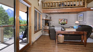 Smart TV, chimenea, reproductor de DVD y libros