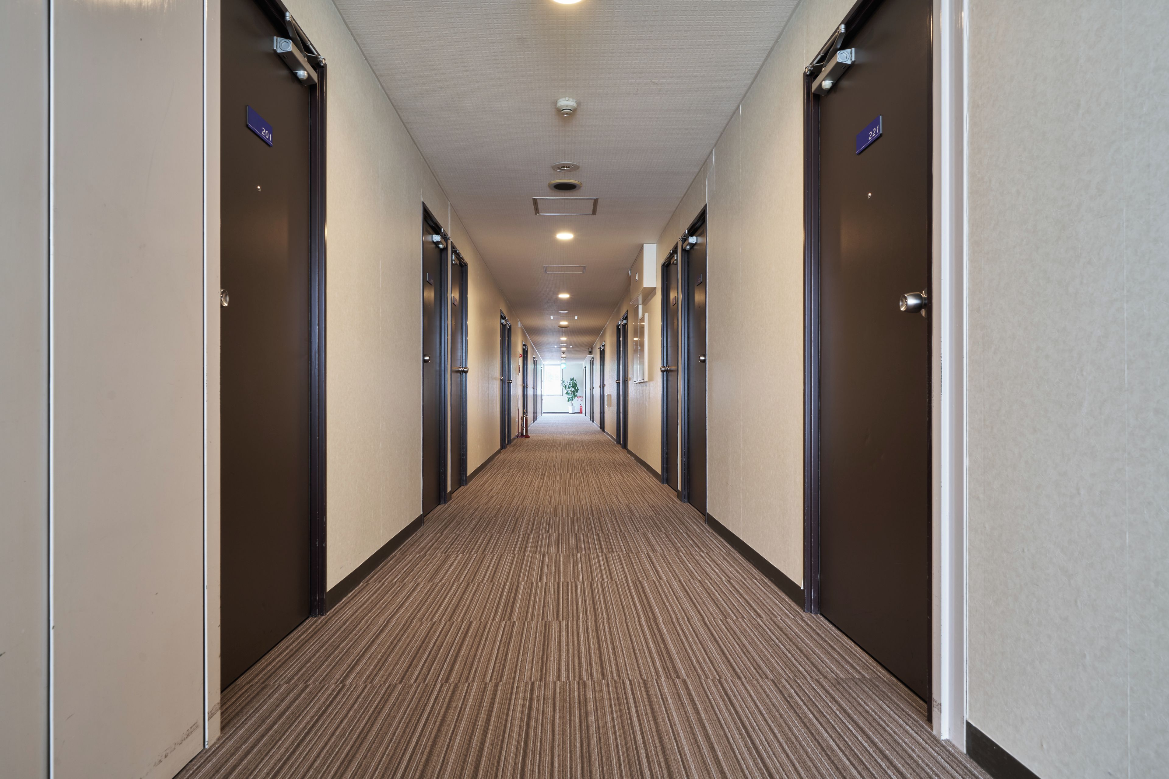 A hotel hallway with doors numbered 201 and 221, carpeted flooring, and recessed lighting.