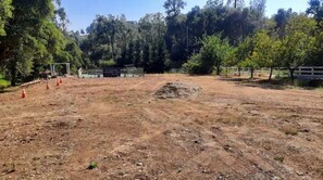 Property grounds - Glow in the dark Pickleball and Glamping in 16x14 canvas tent with Queen setup   (Auburn)