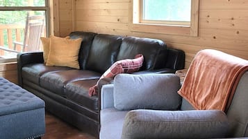 TV connectée, cheminée, jeux vidéo, livres