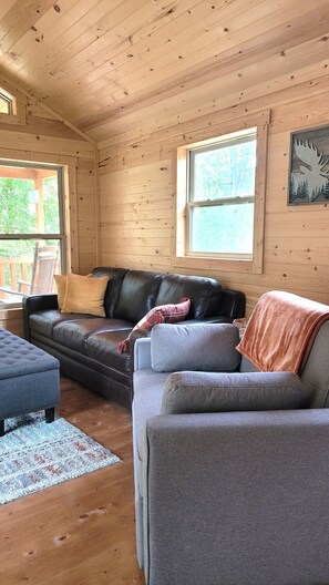 Smart TV, chimenea, videojuegos y libros