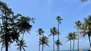 Uma área gramada com palmeiras e vista para o oceano.
