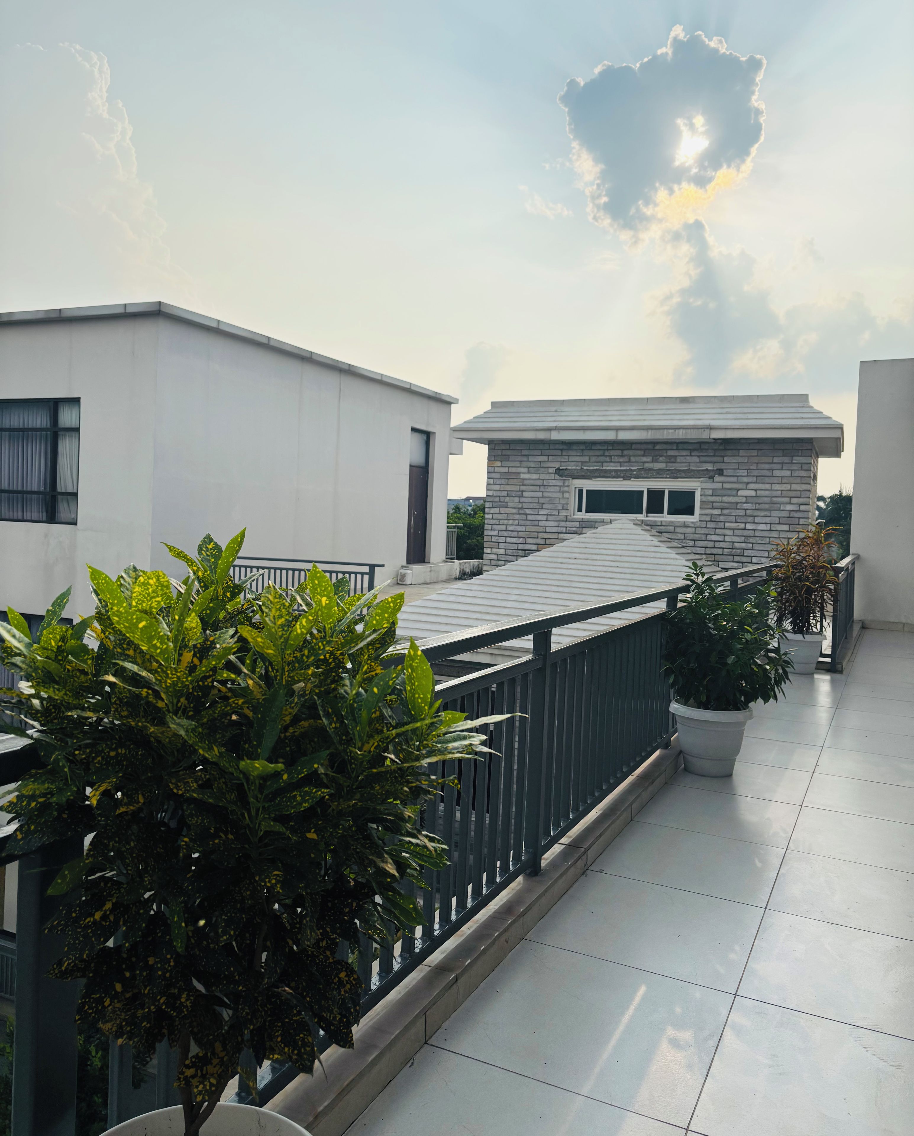 A rooftop terrace with a modern building, a metal railing, and potted plants.