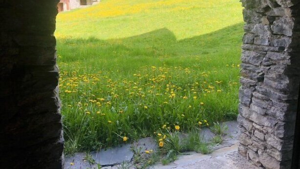 Un arco de piedra que da paso a un campo cubierto de césped y flores amarillas, con un edificio al fondo.