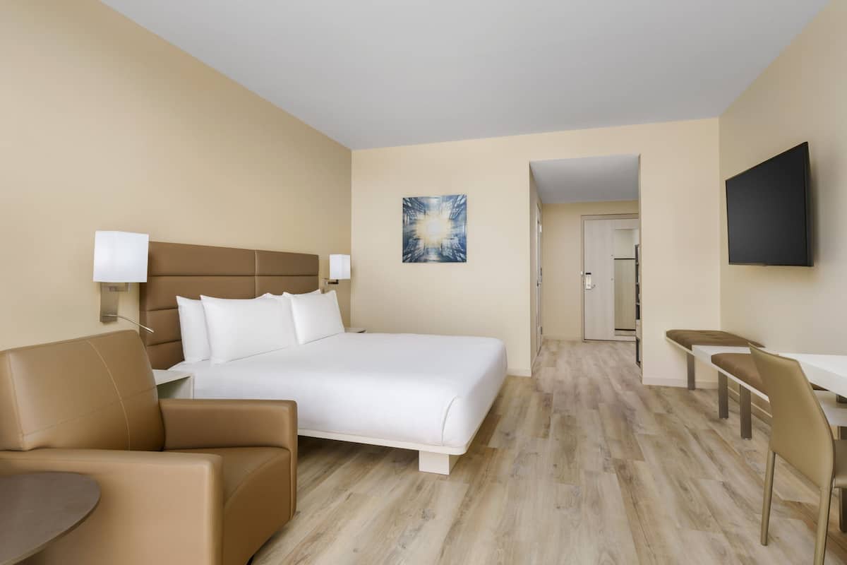 Une chambre d’hôtel avec un grand lit, un canapé, un bureau et une télévision.