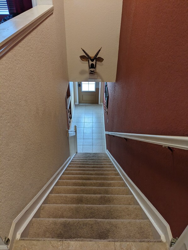 A carpeted staircase with a decorative wall-mounted animal head at the top. - Fill your Home with Magic
Family-sized Townhome with private pool (Kissimmee)