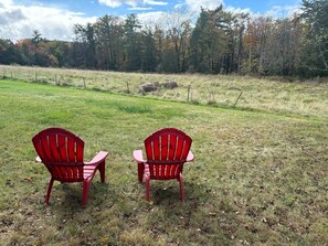 Property grounds - Country Cottage with beautiful views and easy access to Catskills activities. (Saugerties)