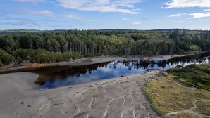 A natural landscape with a river, sandy beach, and dense forest. - Dog-Friendly Beach Escape - 20% off March stays (Moclips)