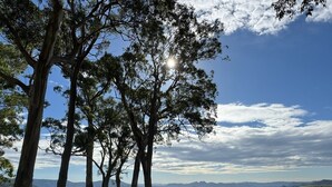 Paesaggio con alberi alti e un terreno collinare sotto un cielo sereno.