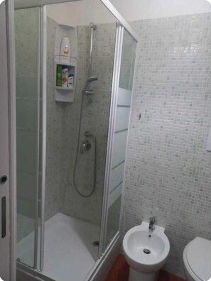 Regadera, secadora de cabello, bidet, toallas 