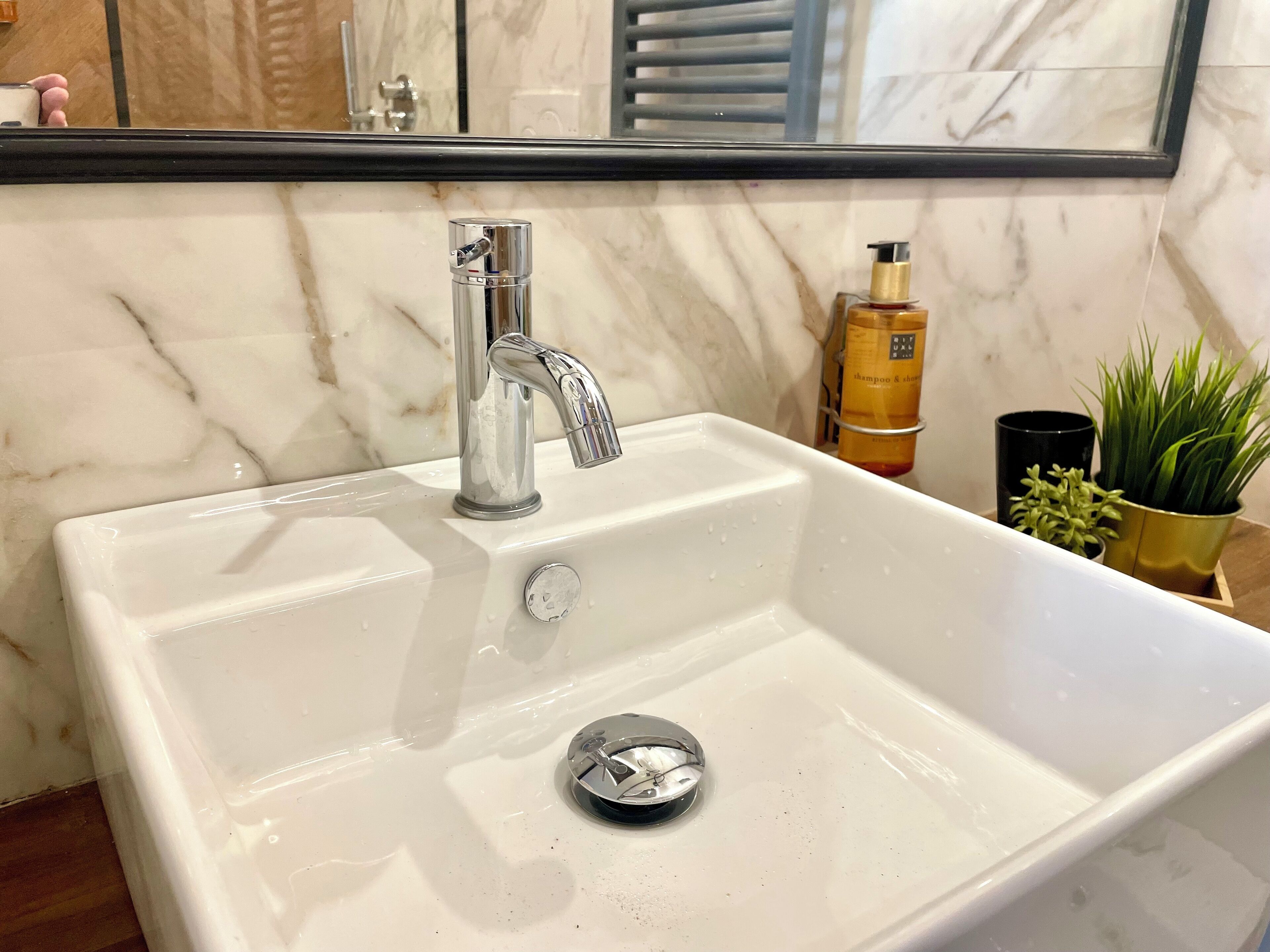 A bathroom with a white sink, chrome faucet, and a mirror above it. There is a bottle of shampoo and a potted plant on the sink's edge.