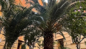 Un patio con una palmera, bancos y plantas en macetas.
