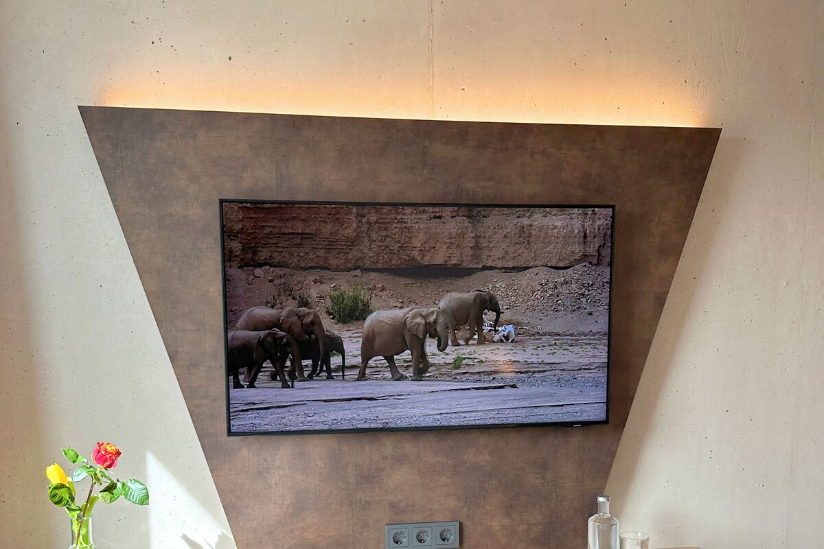 Habitación de hotel con una televisión montada mostrando una escena de vida silvestre, un escritorio con un florero, una silla y una cama con ropa blanca.