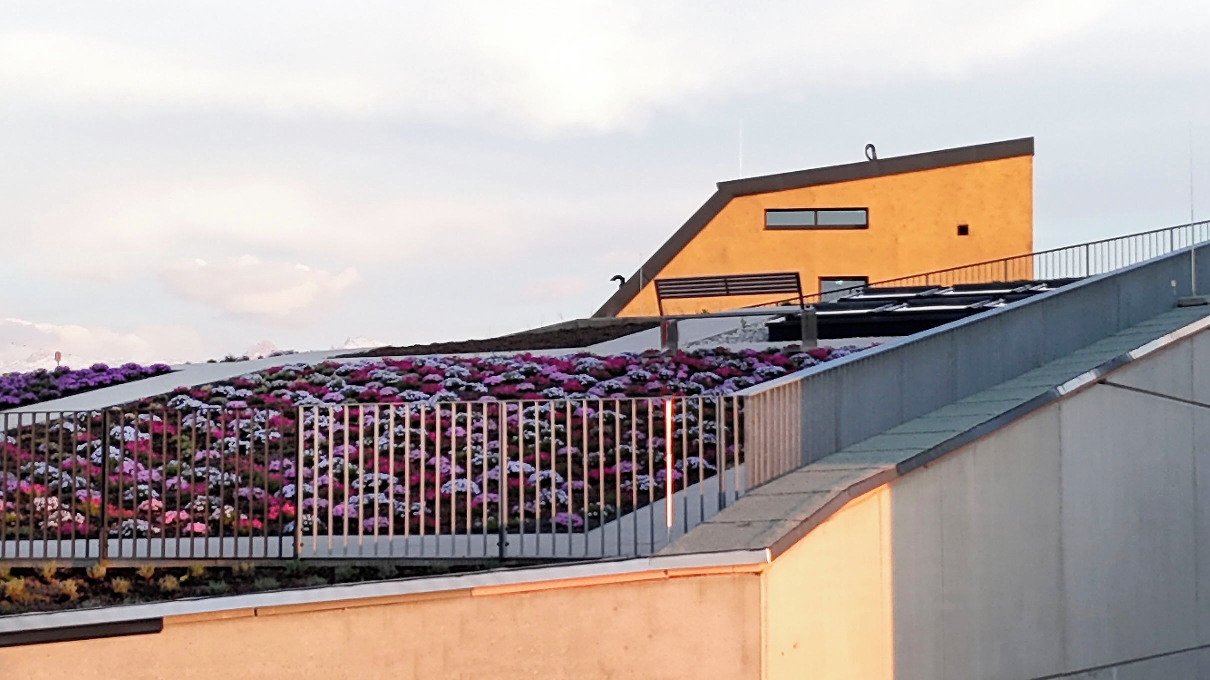 A modern building with a sloped roof and a metal railing.