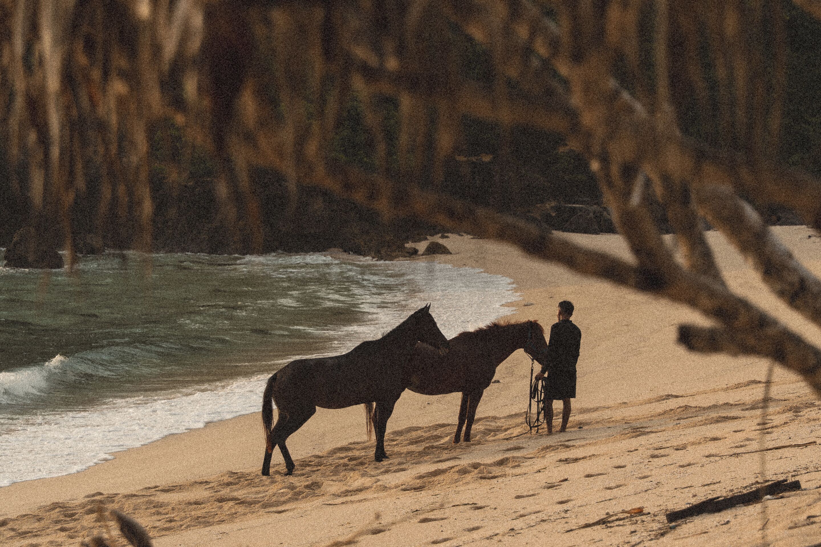 A beach scene with two horses and a person.