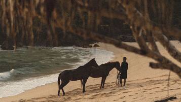 A beach scene with two horses and a person.