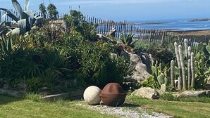 Ein Garten mit verschiedenen Pflanzen und einem Zaun mit Blick auf den Ozean.