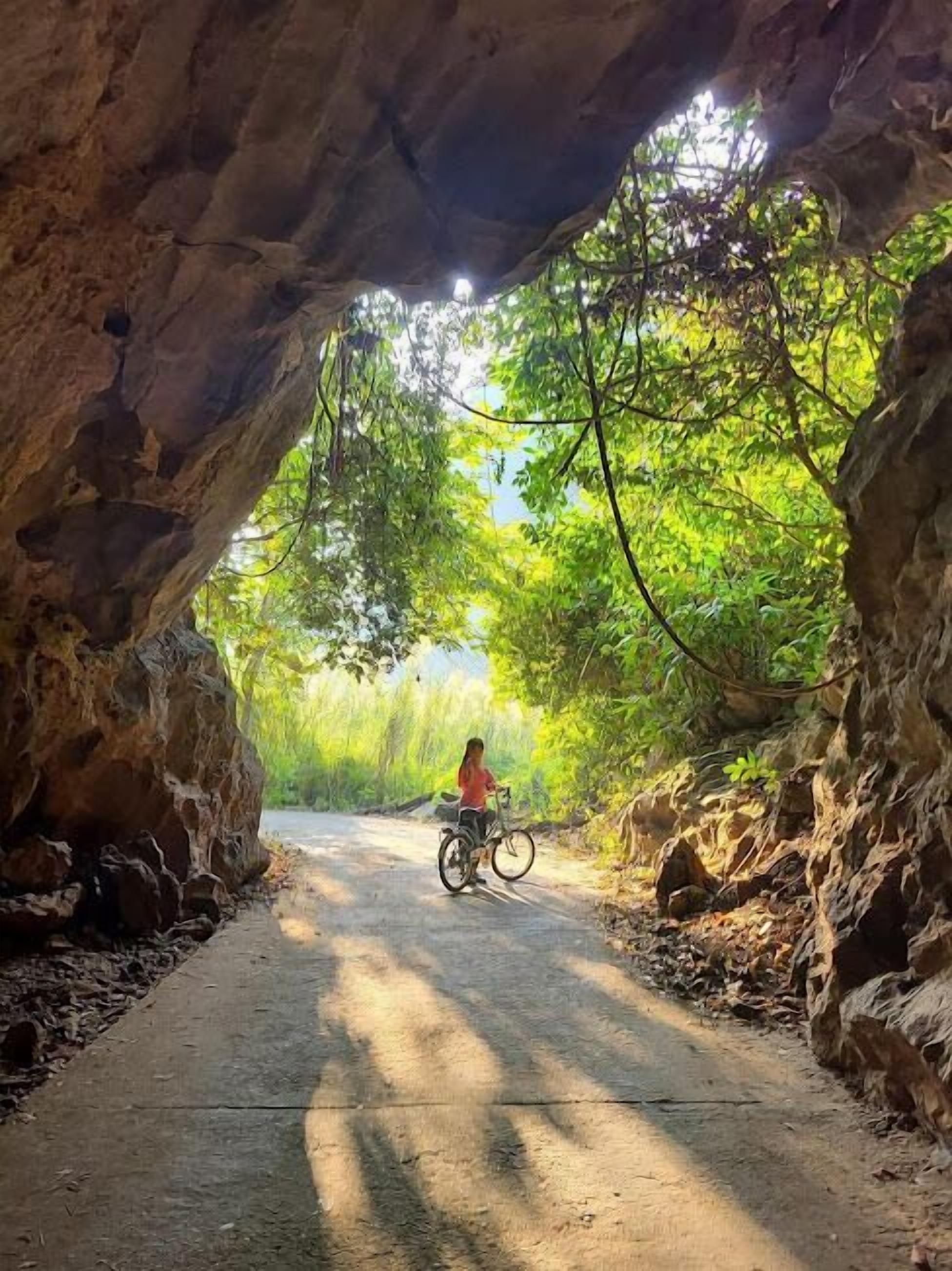 Un sendero que atraviesa un arco rocoso, flanqueado por follaje.