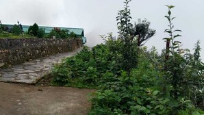 Eine steile Steintreppe führt einen Hügel hinauf, umgeben von üppiger Vegetation und einer Steinmauer.