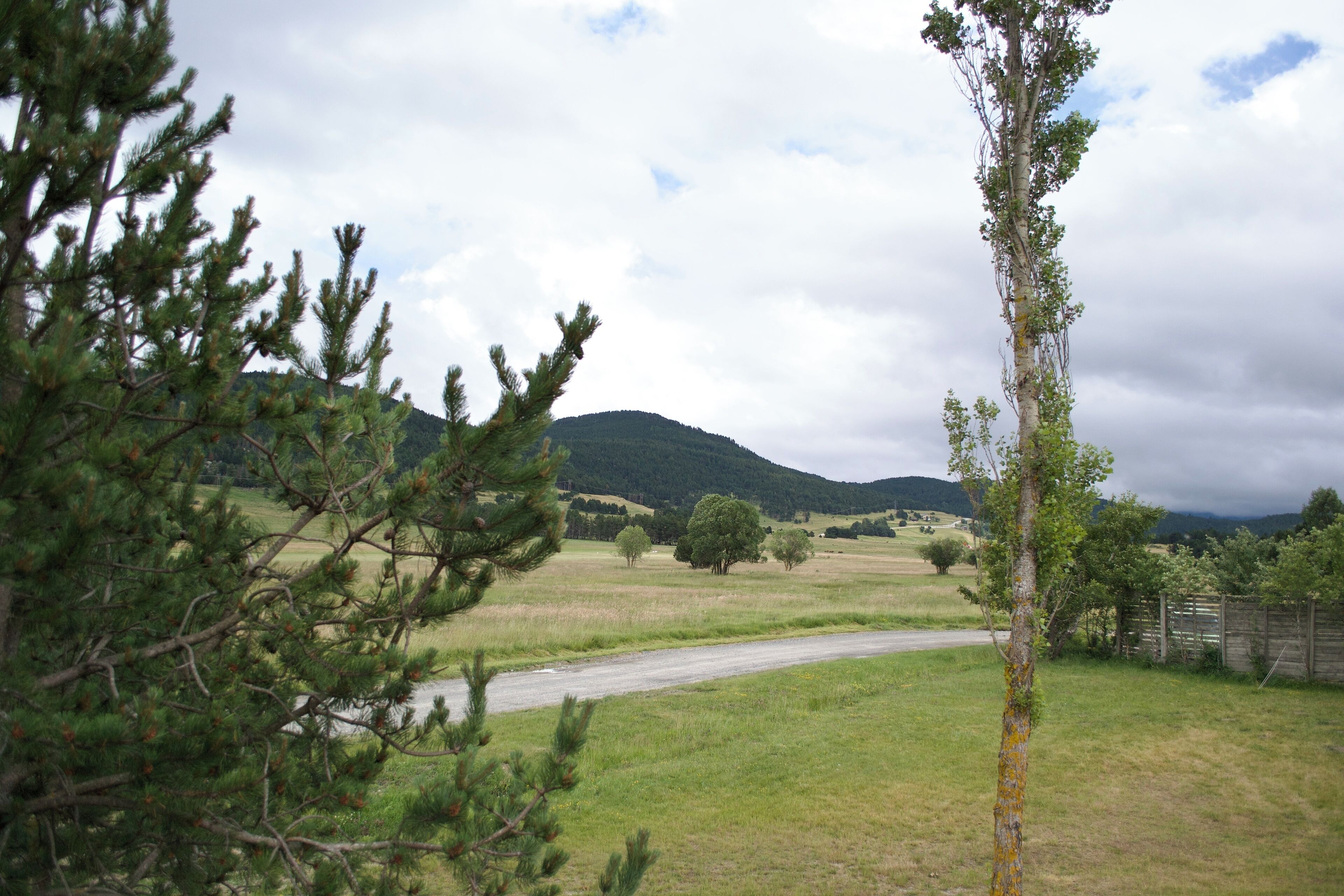 Un paisaje rural con una carretera, árboles y colinas al fondo.