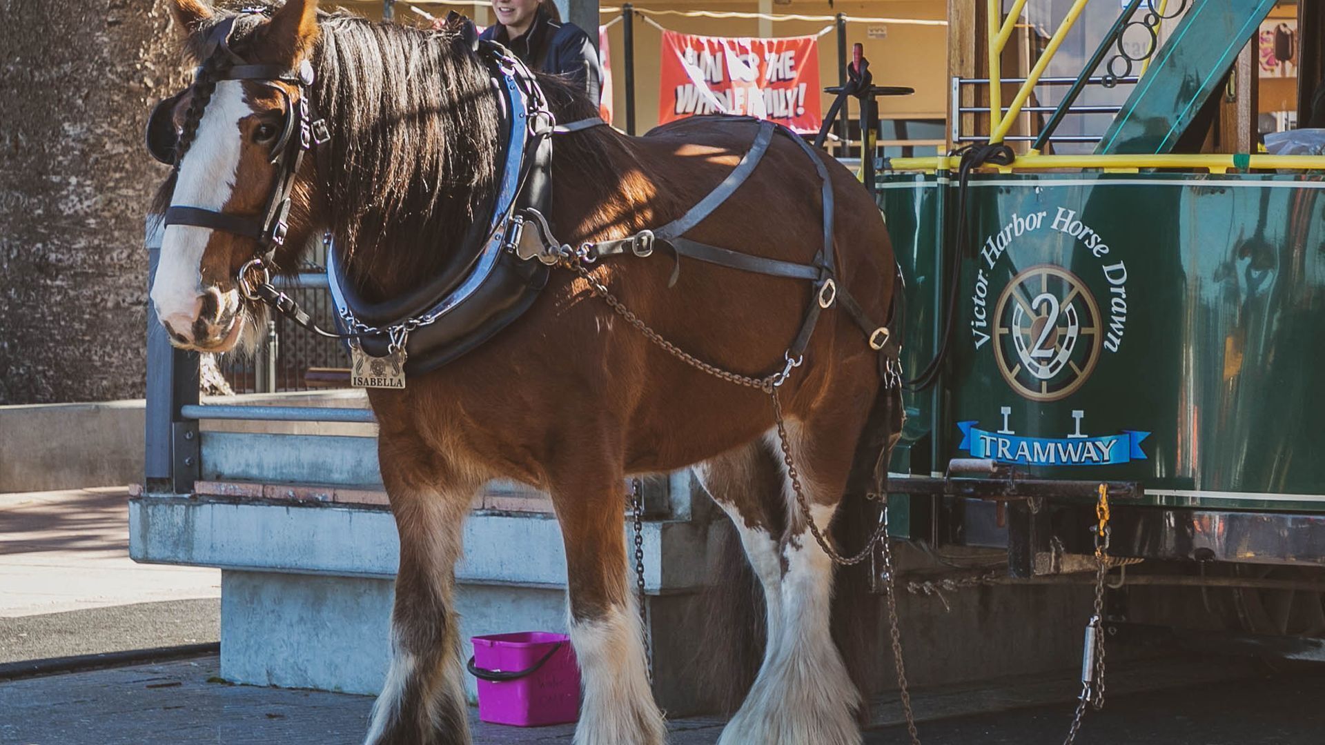 A horse-drawn carriage with a sign reading "Harbor Horse Driving."
