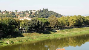 Vista del río con un pueblo, edificios en una colina, un puente y un río tranquilo.