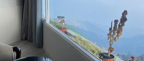 Habitación ejecutiva | Wifi gratis