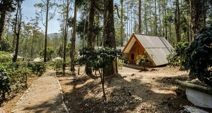 OYO 3772 Cigadog Residence