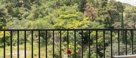 Doppia Signature | Vista montagna