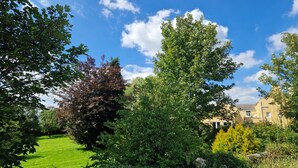 A lush garden with a variety of trees and a well-maintained lawn.