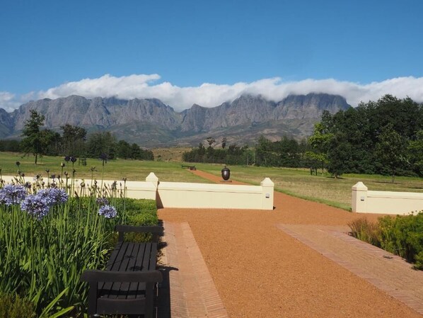 المنطقة المحيطة بالمنشأة