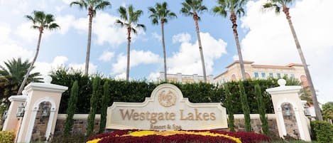 Terrain de lâhĂ©bergement